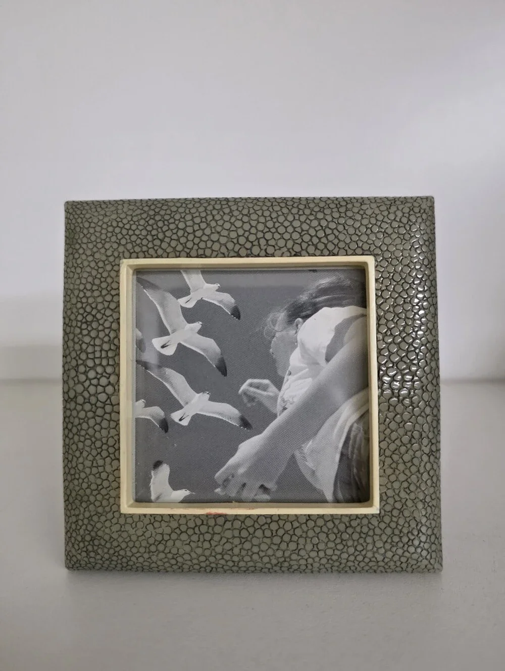Williams Sonoma Faux Shagreen Gray Round and Square Mini Frames